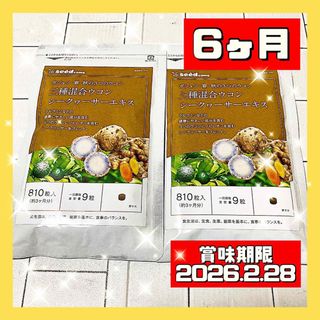 三種混合ウコン サプリメント 6ヶ月分(ダイエット食品)