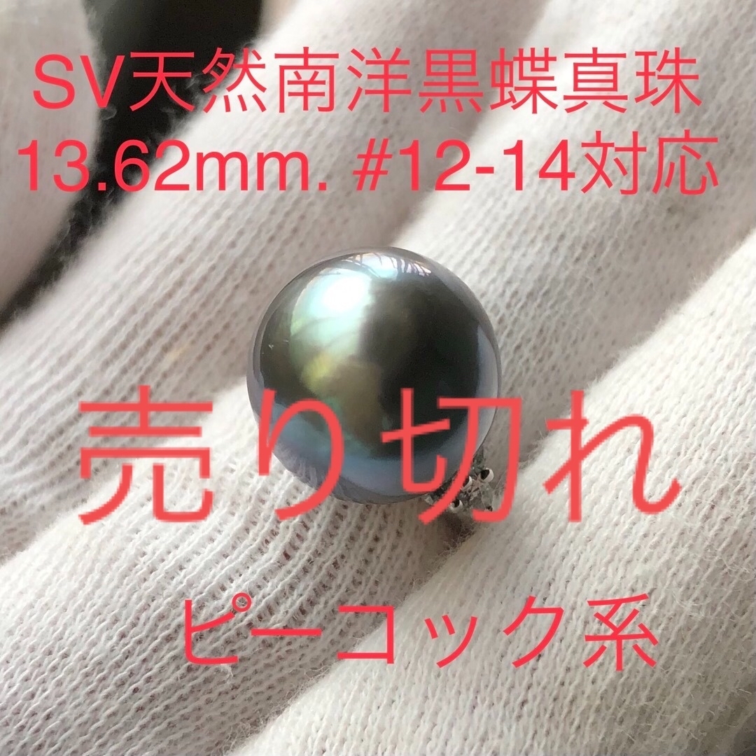 SV天然南洋黒蝶真珠リング　13.62mm. #12-14