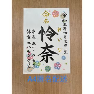 手書きオーダー命名書　命名紙　出産祝い　記念品　代筆　毛筆手書き　匿名配送(命名紙)