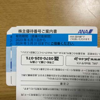 エーエヌエー(ゼンニッポンクウユ)(ANA(全日本空輸))のANA株主優待券　2枚(航空券)