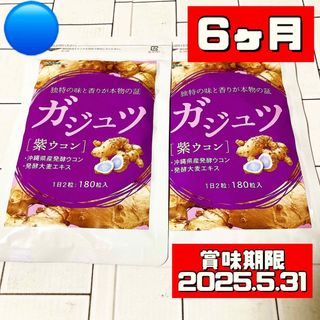 ガジュツ サプリメント 6ヶ月(ダイエット食品)