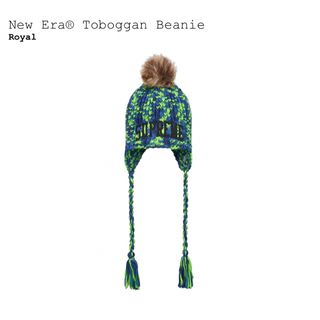 シュプリーム(Supreme)のシュプリーム　New Era Toboggan Beanie　グリーン(ニット帽/ビーニー)