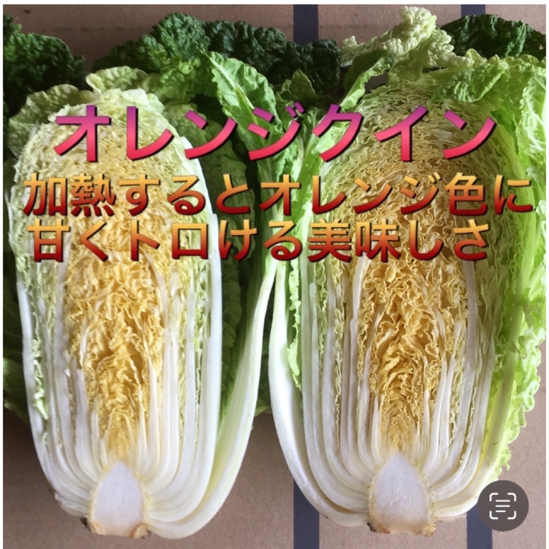 採れたて新鮮野菜詰め合わせ　80サイズ  食品/飲料/酒の食品(野菜)の商品写真