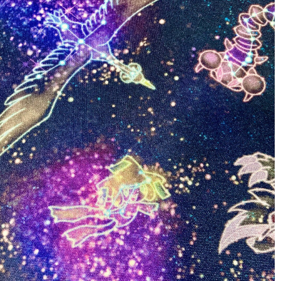 ポケモン - WCS限定ピカチュウ 星を見上げて ポケモンプレイ ポケモン - WCS限定ピカチュウ 星を見上げて ポケモンプレイ