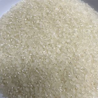 つや姫　精米　5kg(米/穀物)