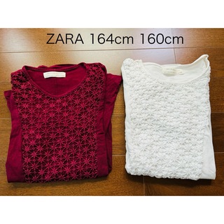 ザラキッズ(ZARA KIDS)のZARA 164 160 ボルドー　ホワイト　長袖カットソー　2枚セット(Tシャツ/カットソー)