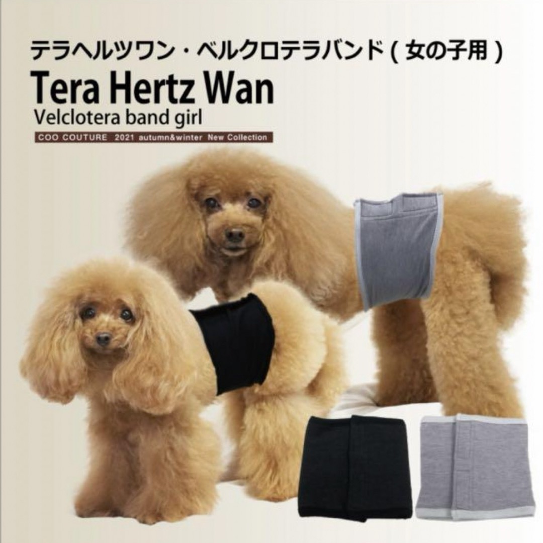 ♡新品♡クークチュール テラヘルツワン♡ベルクロテラバンド その他のペット用品(犬)の商品写真