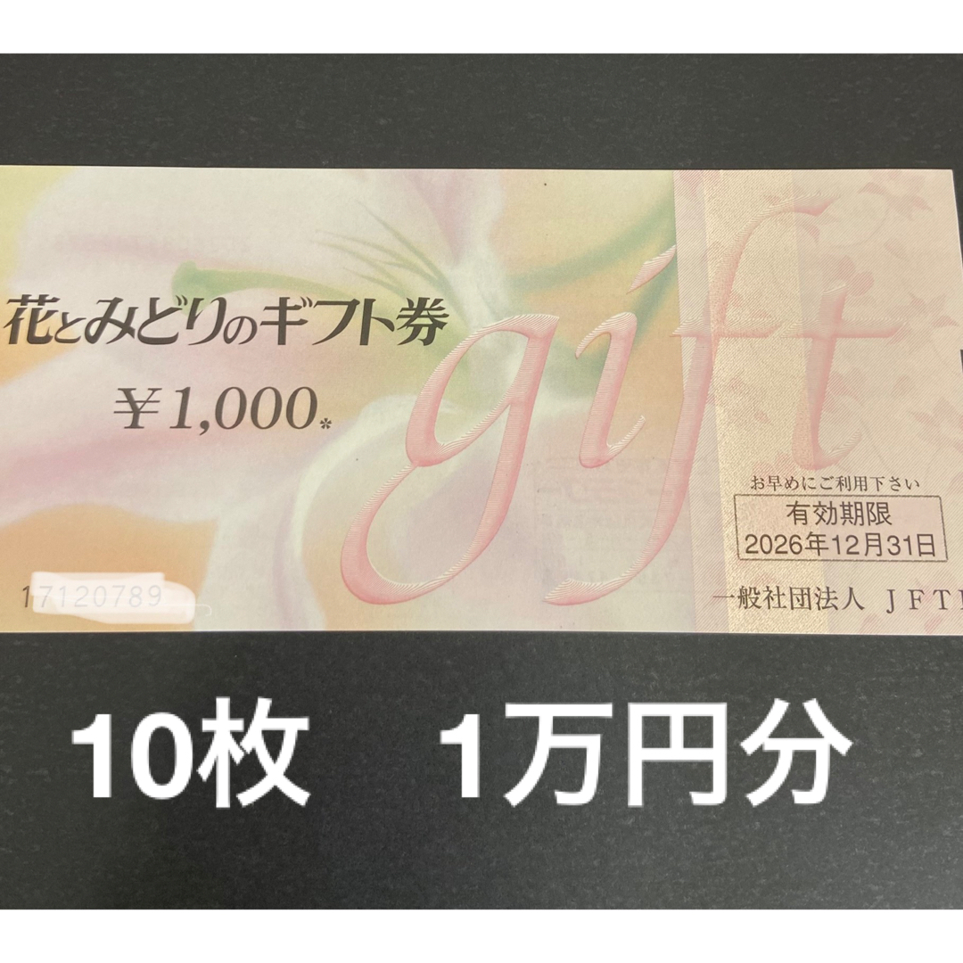 花とみどりのギフト券 1万円分