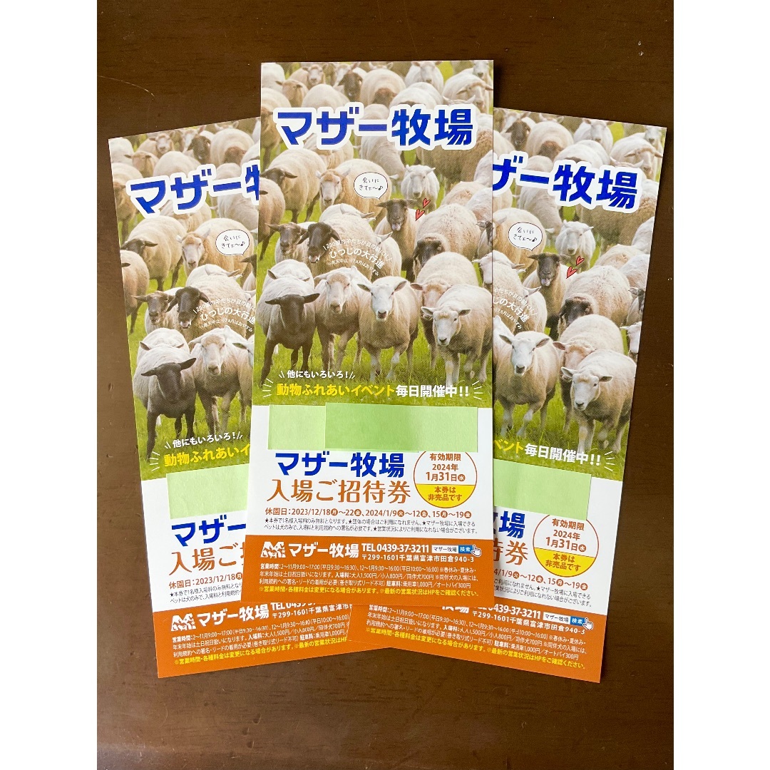 千葉県 マザー牧場 ◆ 入園券３枚セットです！◆ ’24 /１.31 迄 チケットの施設利用券(動物園)の商品写真