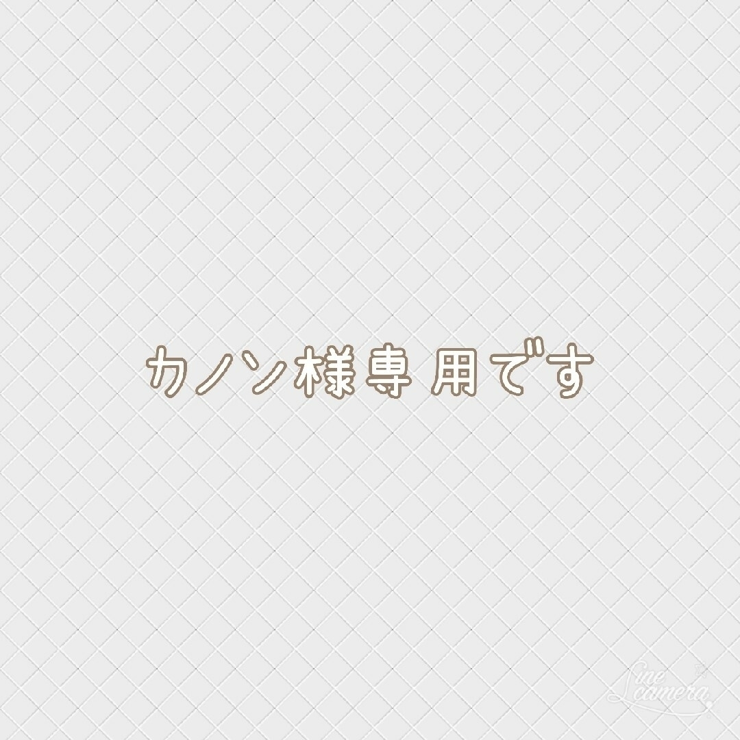 カノン様専用です | フリマアプリ ラクマ