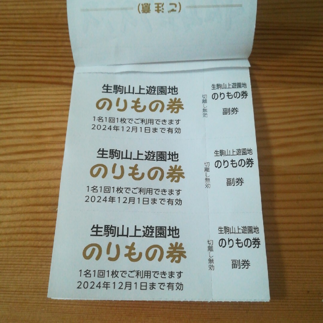 生駒山上遊園地*のりもの券３枚 チケットの施設利用券(遊園地/テーマパーク)の商品写真