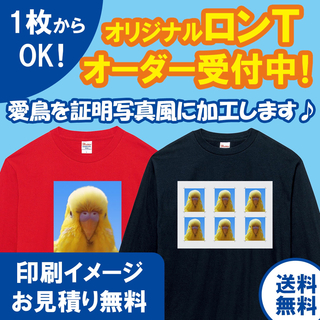 【1枚OK】証明写真 オリジナルロングTシャツ 長袖 インコ オーダー受付中(Tシャツ(長袖/七分))