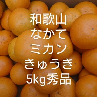 和歌山　中生みかん　きゅうき　5kg 希少品種(フルーツ)