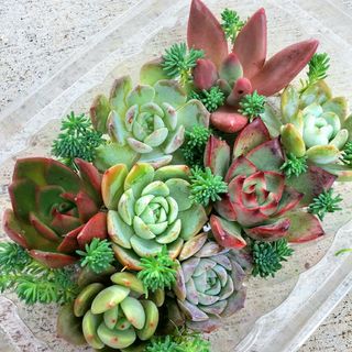 韓国の通販 10,000点以上(ハンドメイド) | お得な新品・中古・未使用