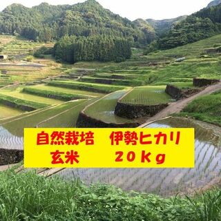 【新米】自然栽培「伊勢ヒカリ」玄米　２０ｋｇ(米/穀物)