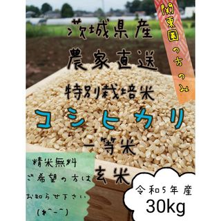 新米　玄米コシヒカリ 　30キロ　令和5年　お米　白米　精米　 茨城県産　関東圏(米/穀物)