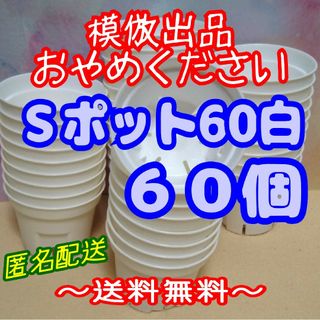 《Sポット60》白 60個 スリット鉢 プラ鉢 2号鉢相当 多肉植物プレステラ-(プランター)