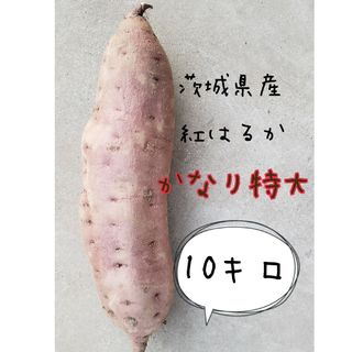 かなり特大　10キロ　土付　紅はるか　茨城県産　さつまいも　さつま芋(野菜)