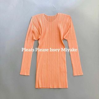 PLEATS PLEASE ISSEY MIYAKE - 美品 プリーツプリーズ イッセイミヤケ