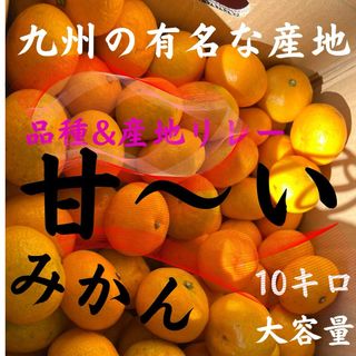 【特売日】九州産　みかん　10キロ『甘いです』　九州の産地&品種リレーお届け(フルーツ)