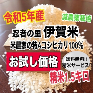 伊賀米特Aコシヒカリ100%精米1.5キロ(農家直送)減農薬栽培(米/穀物)
