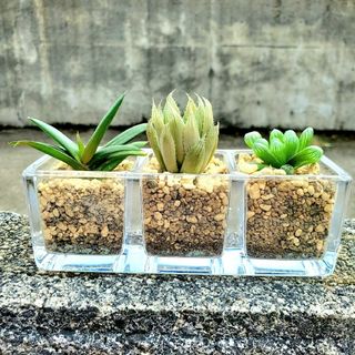 韓国の通販 10,000点以上(ハンドメイド) | お得な新品・中古・未使用