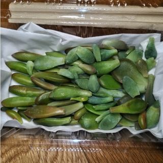 韓国の通販 10,000点以上(ハンドメイド) | お得な新品・中古・未使用