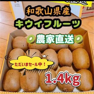 和歌山県産キウイフルーツ コンパクト(フルーツ)