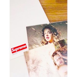 シュプリーム(Supreme)のSupreme Terry Richardson Calendar【RARE】(置物)