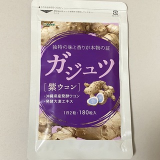 ガジュツ 紫ウコンサプリメント 約3ヵ月分 美容 健康 ダイエット お酒  (その他)