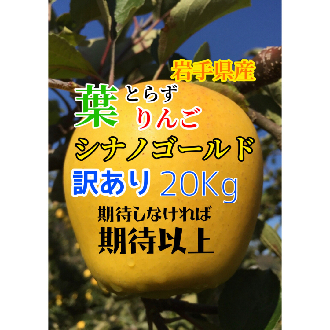 【訳あり】葉とらずりんご シナノゴールド20kg葉とらず