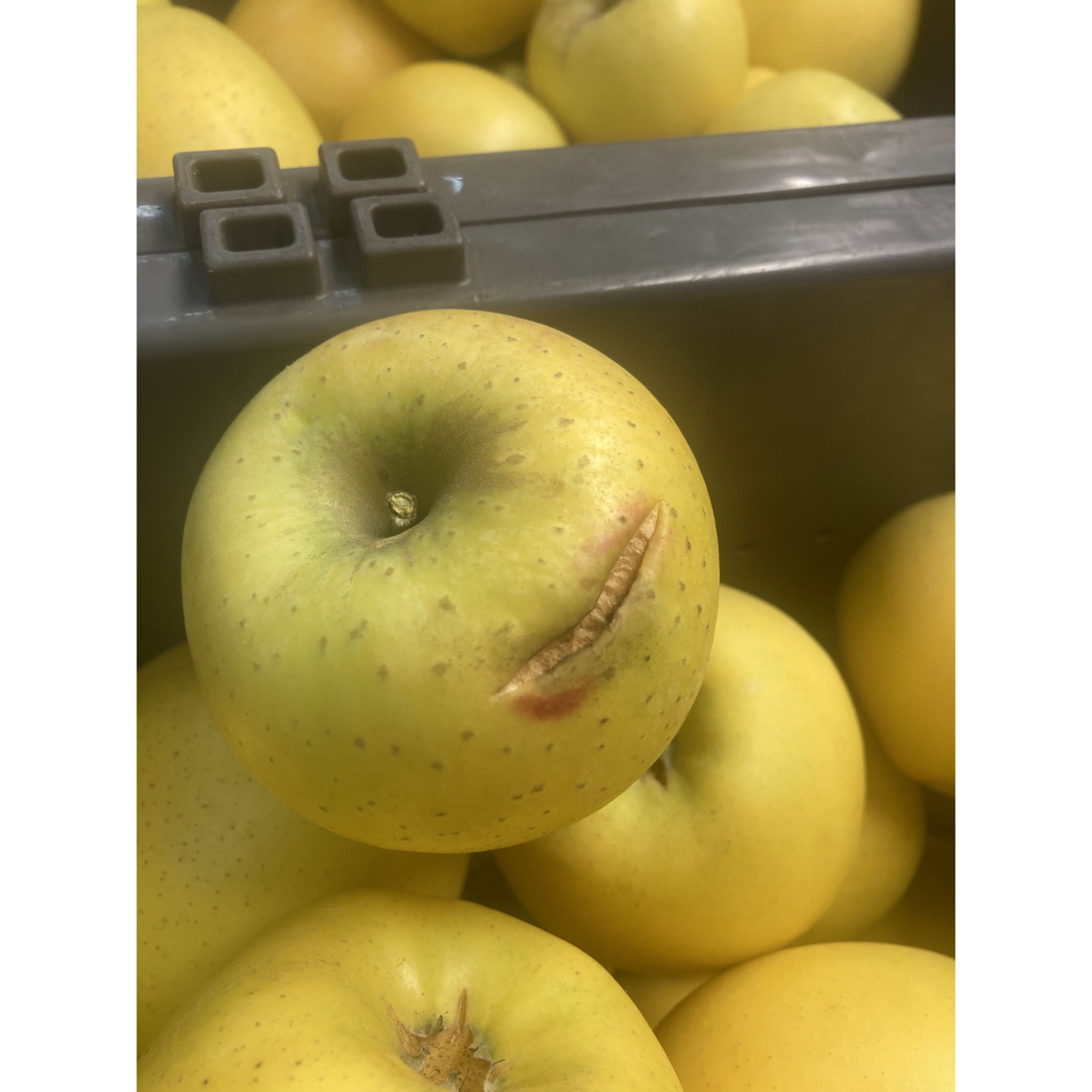【訳あり】葉とらずりんご シナノゴールド20kg 食品/飲料/酒の食品(フルーツ)の商品写真