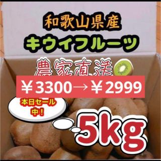 和歌山県産キウイ(ヘイワード)5kg(フルーツ)