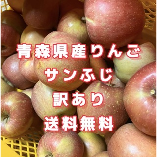 【産地直送】青森県産りんご  家庭用  12kg(フルーツ)