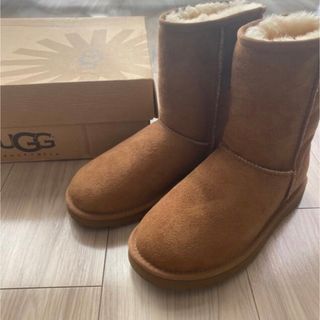 UGG クラシック　ショート　ムートンブーツ　チェスナット　5(ブーツ)