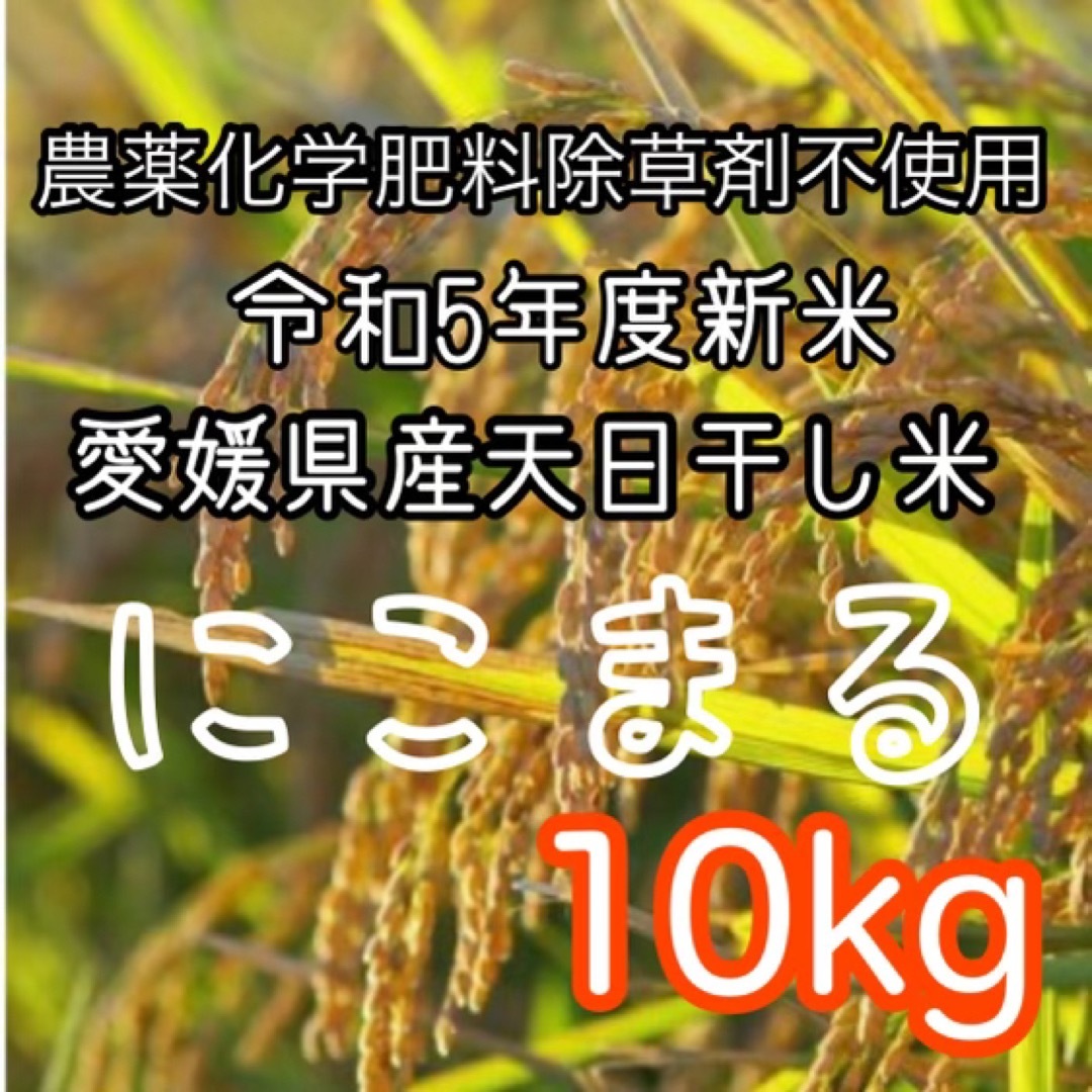 令和5年度新米★自然栽培米にこまる10㌔食品/飲料/酒