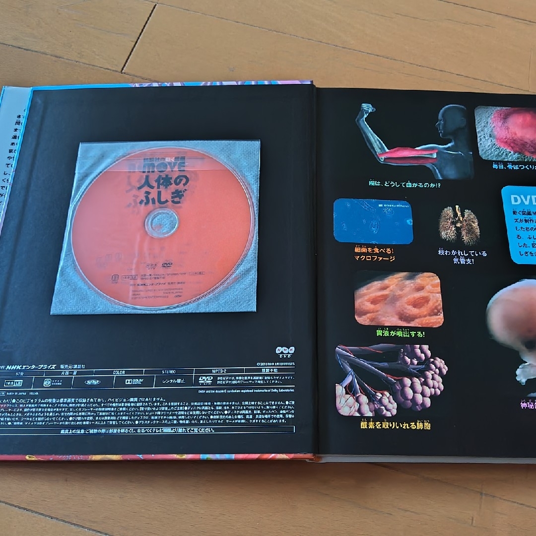 講談社の動く図鑑WONDER MOVE 人体のふしぎ DVD付の 講談社の動く図鑑WONDER MOVE 人体のふしぎ DVD付の
