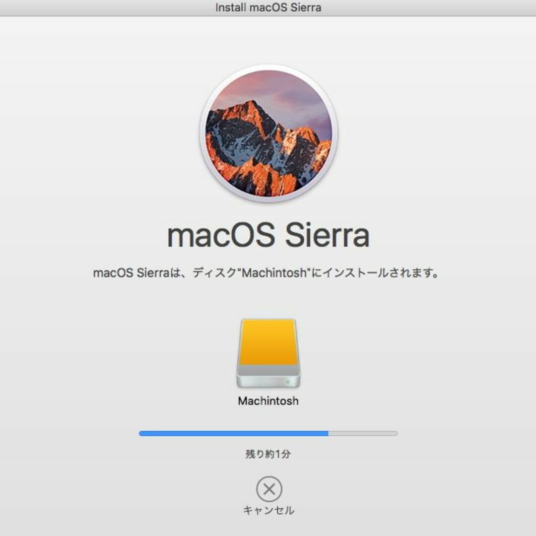 Apple(アップル)のmacOS 10.12 Sierra インストールUSB3.2 メモリー スマホ/家電/カメラのPC/タブレット(その他)の商品写真