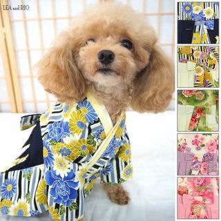 袴の通販 200点以上(その他) | お得な新品・中古・未使用品のフリマ