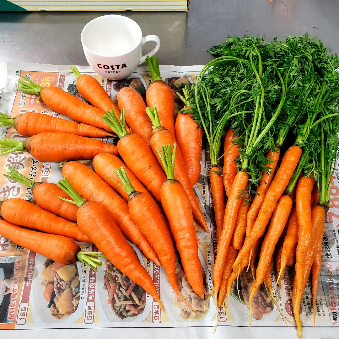 mamiCU18様専用。 食品/飲料/酒の食品(野菜)の商品写真