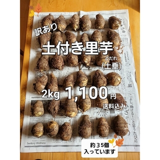 越後産　里芋(土垂) 土付き　2kg(米/穀物)