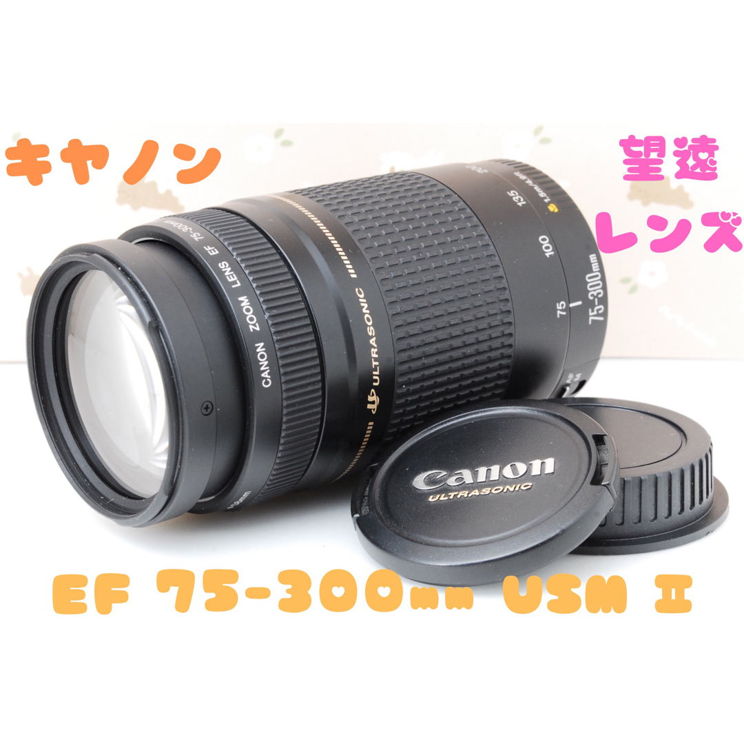 Canon - 望遠レンズ❤️Canon EF 75-300mm F4.0-5.6 USM Ⅱの通販 by