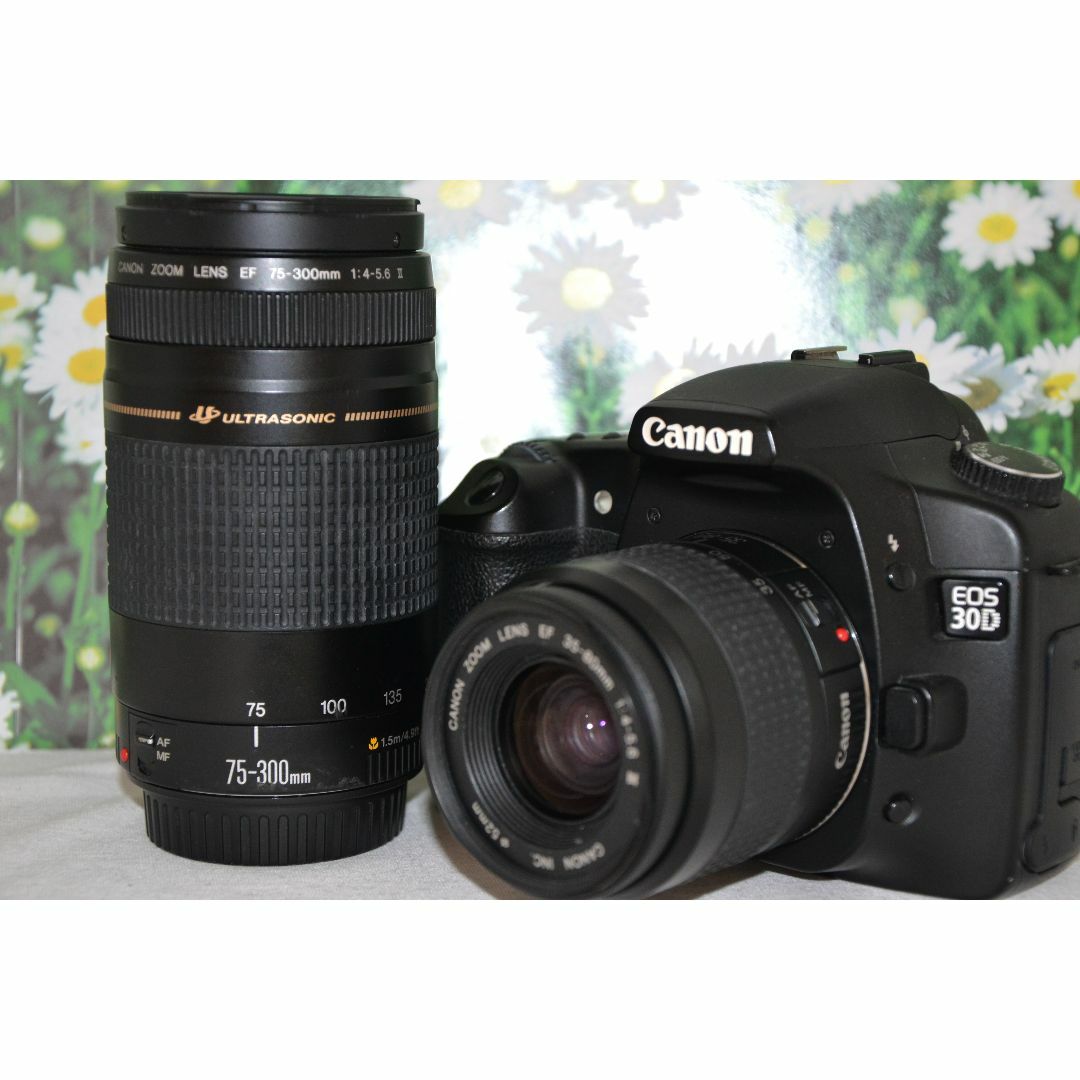 ❤Canon Eos 30D❤キャノン デジタル一眼レフ❤ダブルレンズ ❤Canon Eos 30D❤キャノン デジタル一眼レフ❤ダブルレンズ