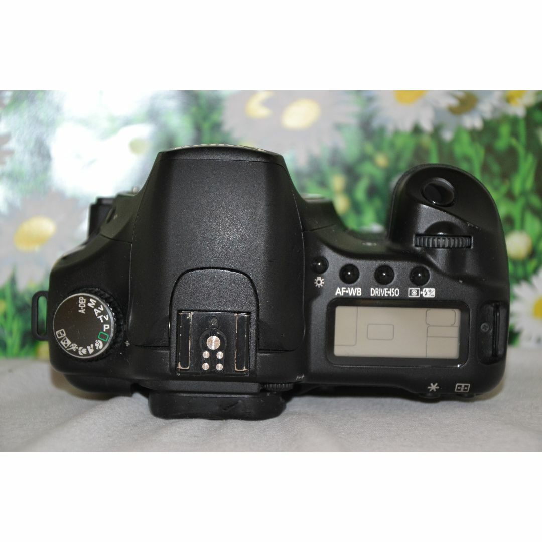 ❤Canon Eos 30D❤キャノン デジタル一眼レフ❤ダブルレンズ ❤Canon Eos 30D❤キャノン デジタル一眼レフ❤ダブルレンズ
