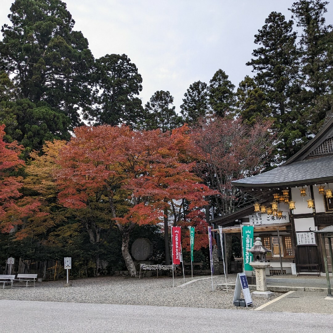 現品限り　送料込み「高級焼香　叡山焼香」比叡山延暦寺　新品　未開封 コスメ/美容のリラクゼーション(お香/香炉)の商品写真