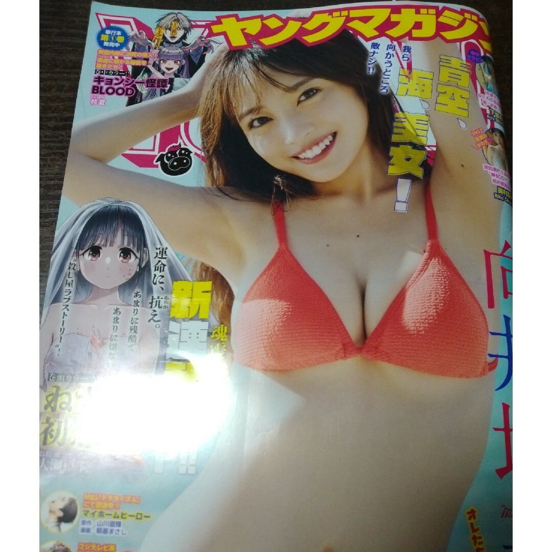 ヤングマガジン49最新号 エンタメ/ホビーの漫画(漫画雑誌)の商品写真