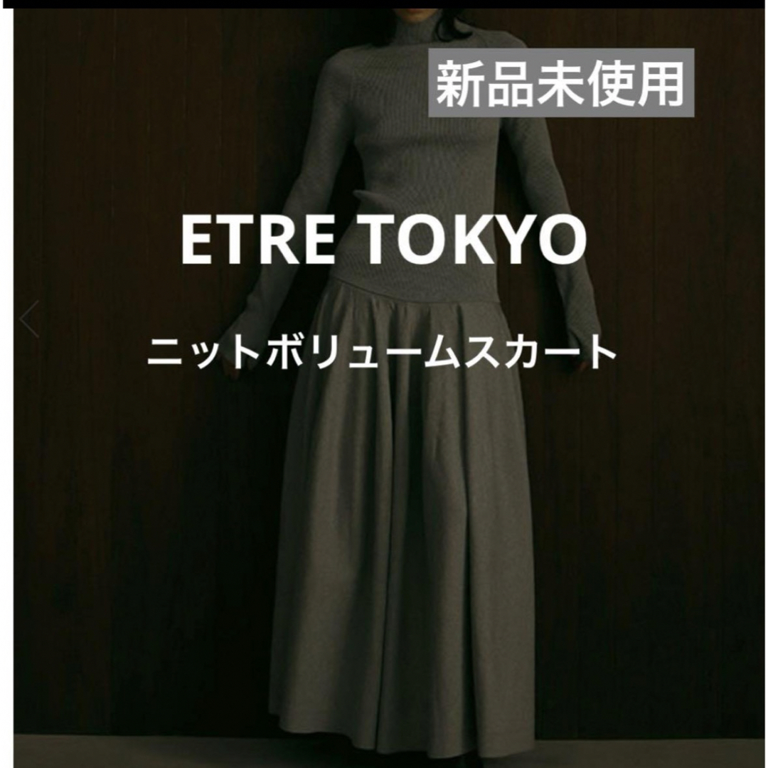 ETRE TOKYO(エトレトウキョウ)の新品未使用 ETRE TOKYO 23AW ニットボリュームスカート グレー M レディースのスカート(ロングスカート)の商品写真