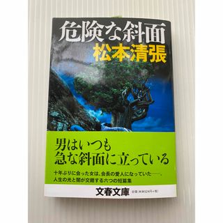 危険な斜面(文学/小説)