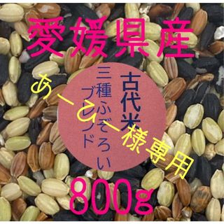 あーひー  様専用　古代米3種ふぞろいブレンド　愛媛県産　800ｇ(米/穀物)