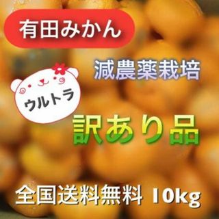 【有田みかん】減農薬ネオニコ・除草剤・防腐剤不使用ジャンク品10kg(フルーツ)